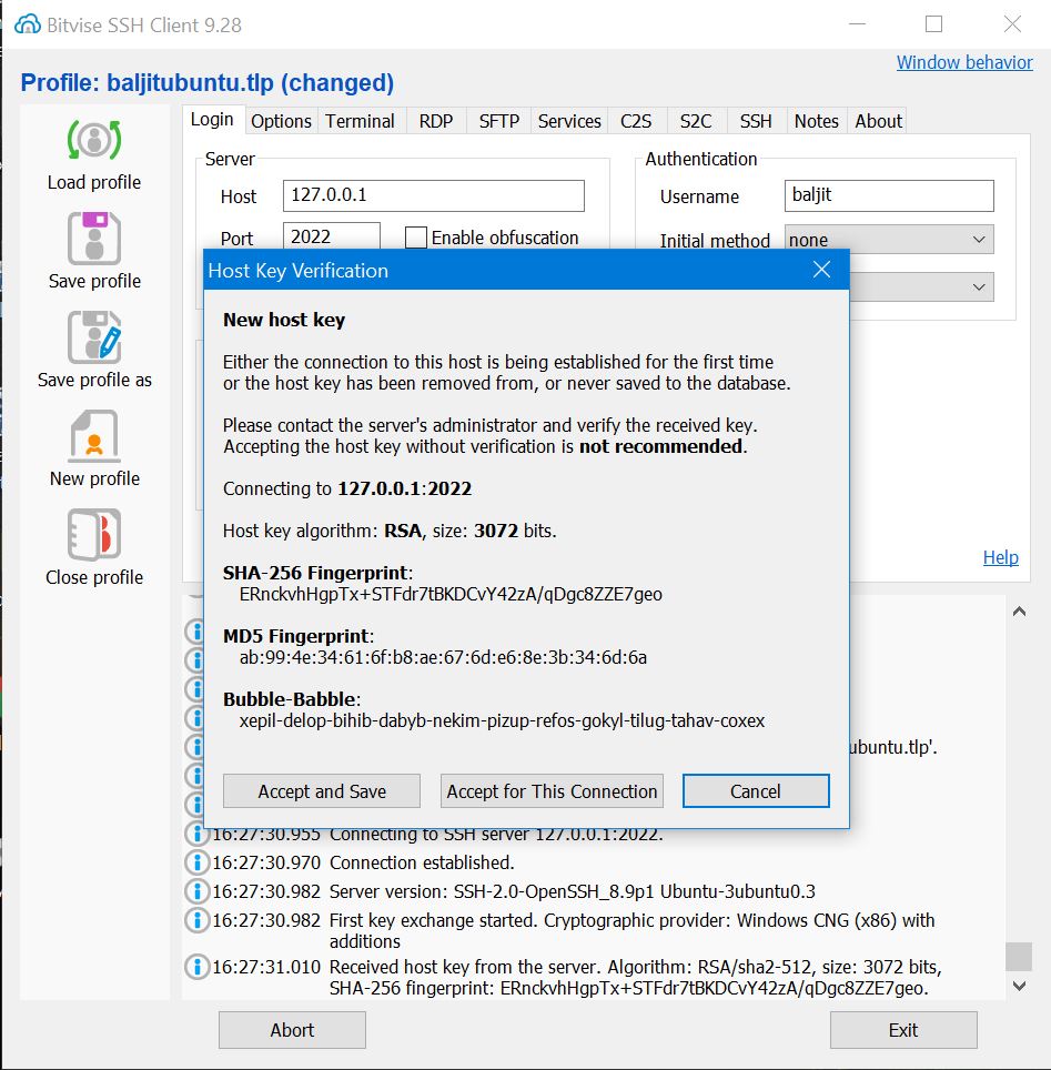 Bitvise Profile Setup